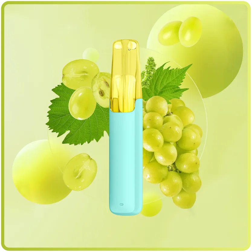 iGET vs Snowplus: Which Disposable Vape Brand Suits You?(Image2) iGET vs Snowplus: Which Disposable Vape Brand Suits You?(Image2)