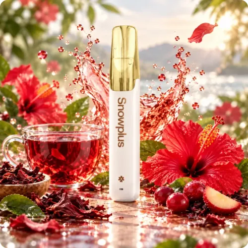 HIBISCUS FRUIT TEA - SNOWPLUS 