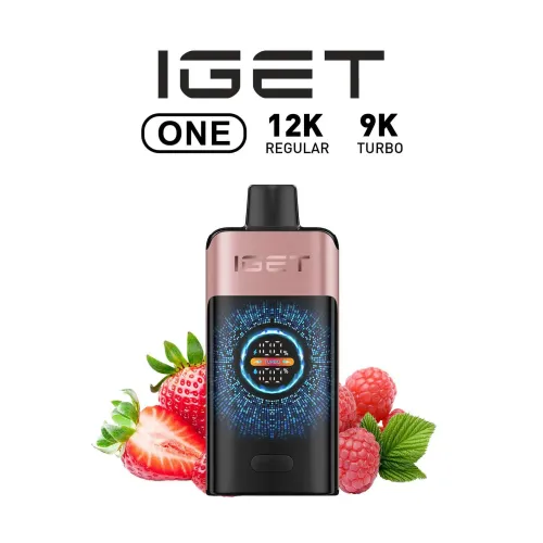 iGET vs Snowplus: Which Disposable Vape Brand Suits You?